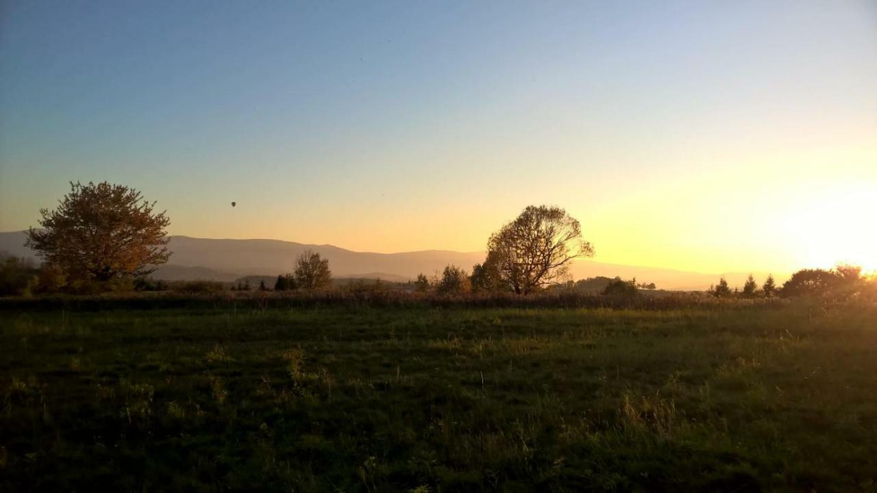 Agroturystyka Ulima Dziwiszow Dış mekan fotoğraf