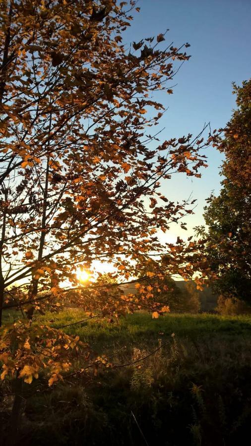 Agroturystyka Ulima Dziwiszow Dış mekan fotoğraf